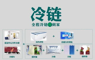 壹天一参史红新 破解生鲜O2O困局，打造高端滋补品国内贸易代理新标杆