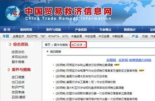 预警丨一大波针对中国的反倾销措施生效，外贸及货代企业应对指南